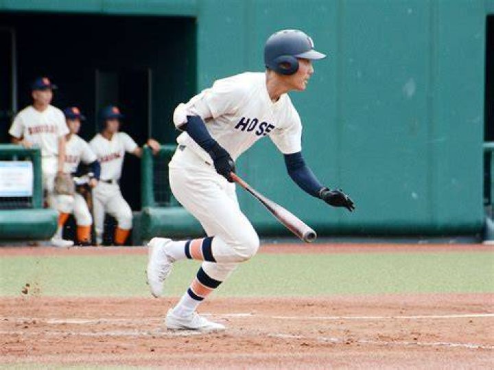 神奈川の高校野球トーナメント表を読むコツ｜日程と進め方を解説