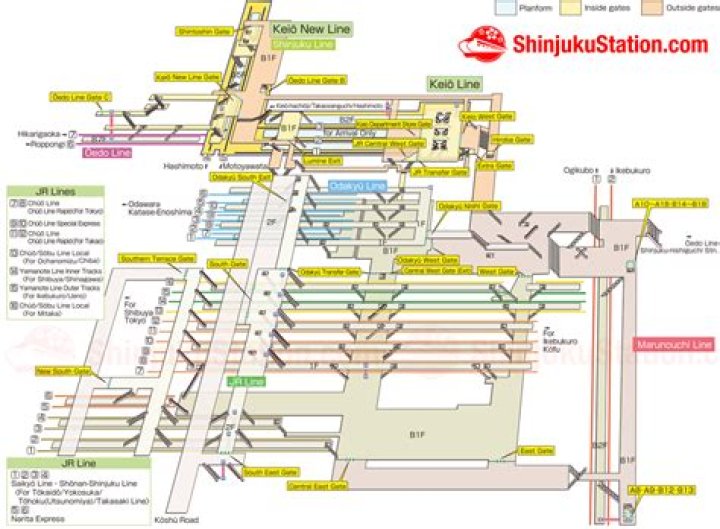 甲府駅から新宿駅まで：特急・乗り換えの現実的ルートガイド