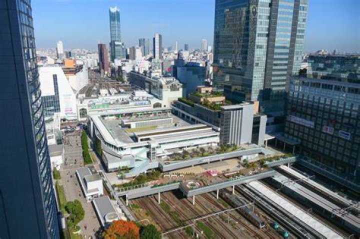 「ここから新宿駅」—乗り換え・出口・所要時間の調べ方ガイド