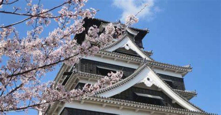 草 千里 展望 所：見える未来の作り方と“距離”の意味