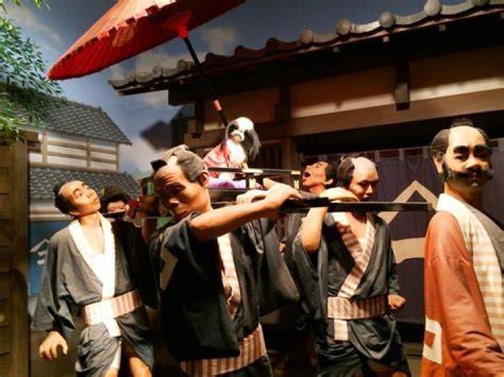 生類 憐れみ の 令とは何だったのか—江戸の「動物に優しい」法