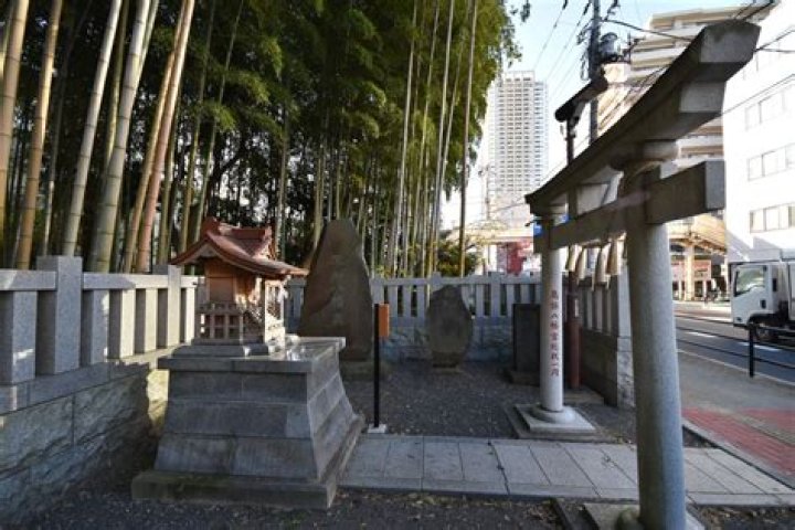 「八幡の藪知らず」とは？由来・意味・民間伝承の読み解き方